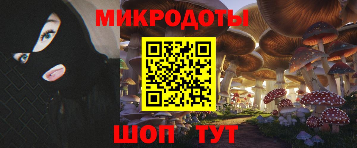 Псилоцибиновые грибы ЛСД  Псилоцибиновые грибы мицелий  купить наркоту  Вход с VPN  Крымск 